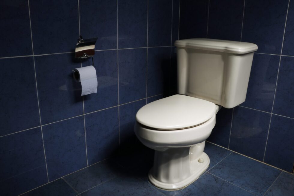 Keys to Replacing a Toilet