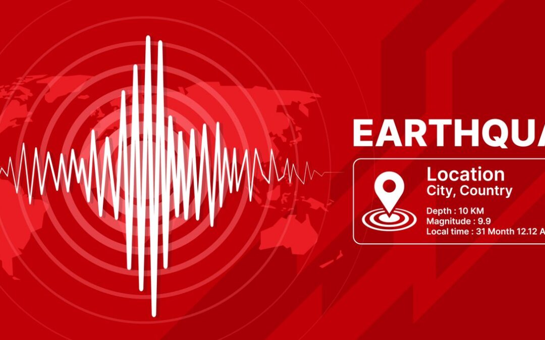 What is an Earthquake Seismic Valve?