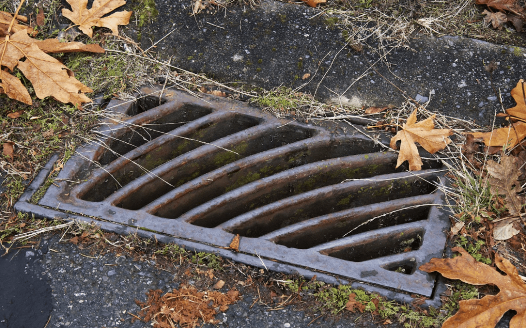 Maintenance Care of Your Storm Drains