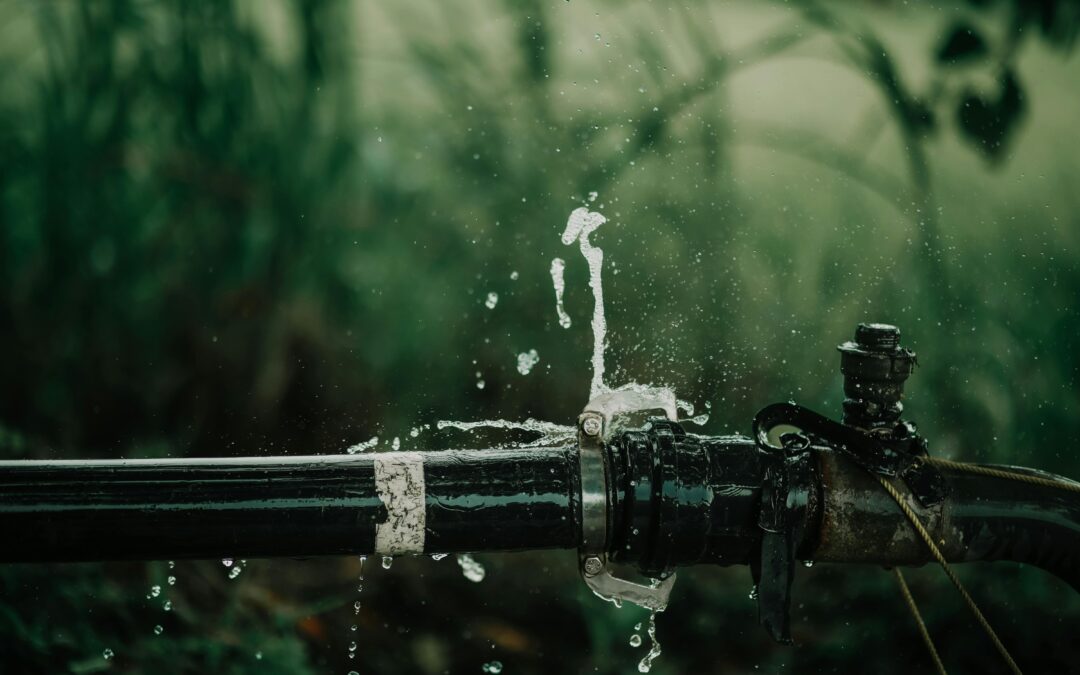 SAVE WATER, SAVE MONEY: PLUMBING LEAK DETECTION AND INSPECTIONS