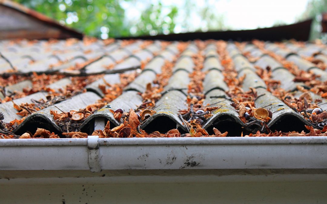 blocked drain vent